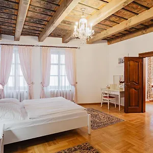 Appartement U Cerneho Medveda- At The Black Bear, Prague